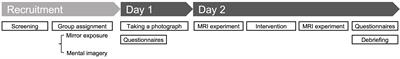 Reduced body-image disturbance by body-image interventions is associated with neural-response changes in visual and social processing regions: a preliminary study